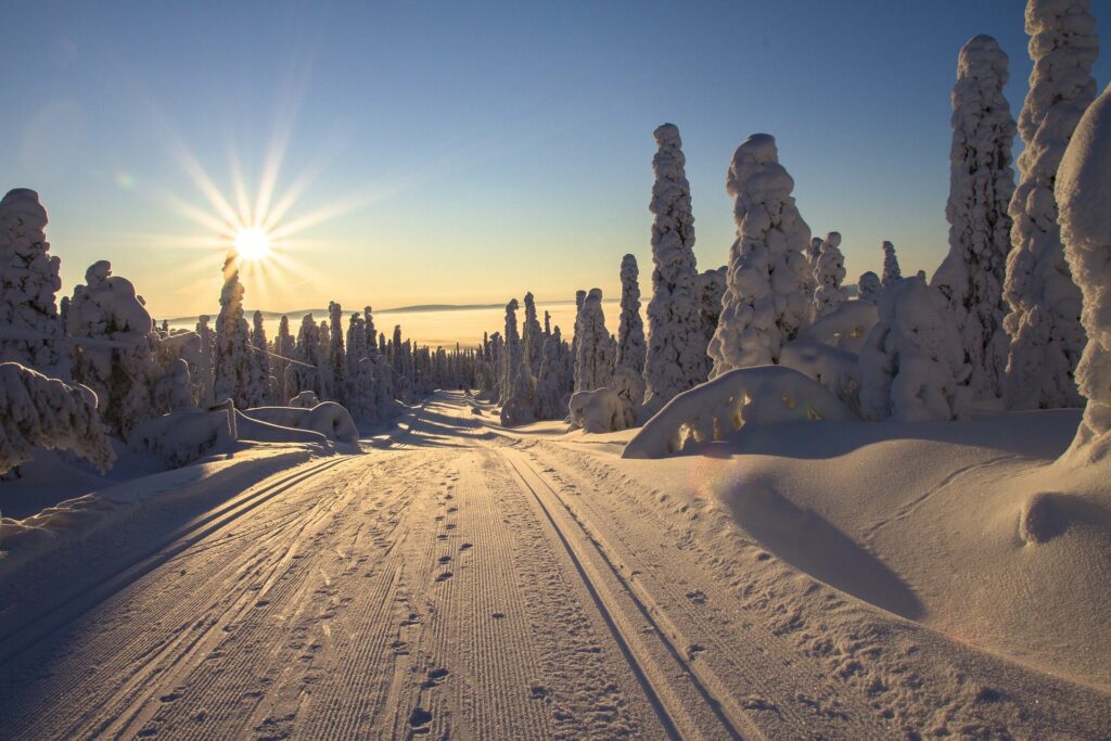 finlandia, lapponia, neve