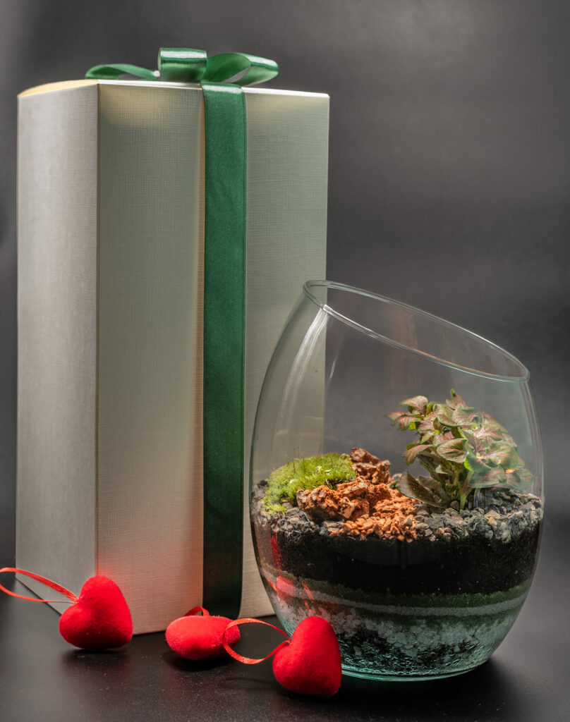 terrarium, bomboniere green