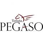 TENUTA PEGASO